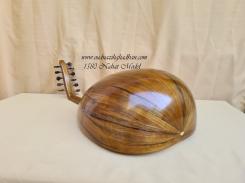 1580 Nahat Model